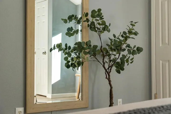 1644 Ocean Street, Santa Cruz, California 95060