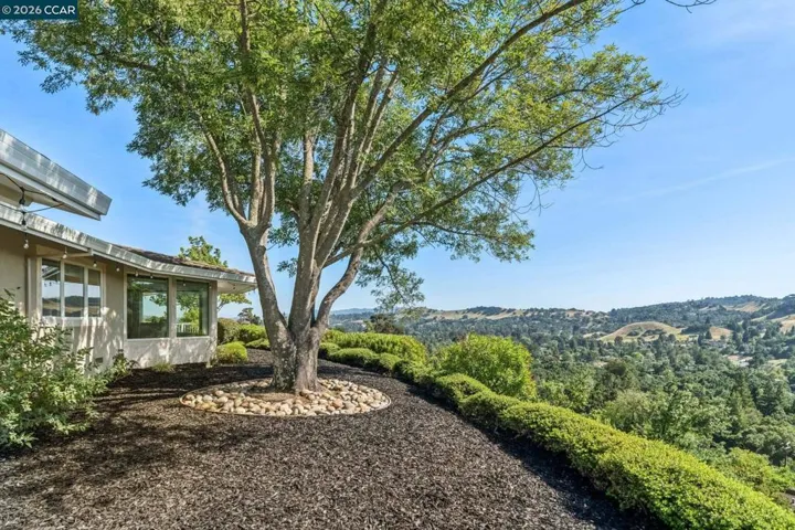 3175 Surmont Dr, Lafayette, California 94549