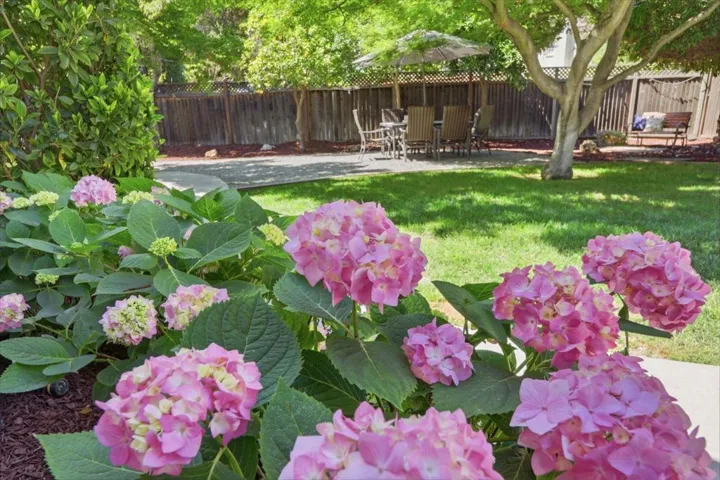 918 Chabrant Way, San Jose, California 95125