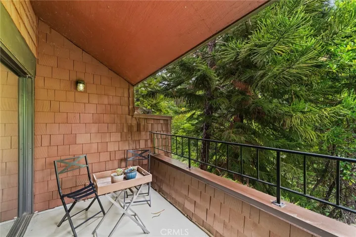 Patio off living area