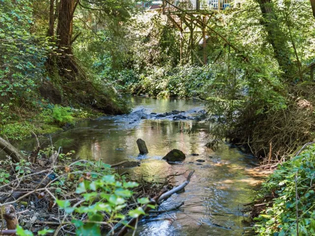 17925 Highway 9, Boulder Creek, California 95006