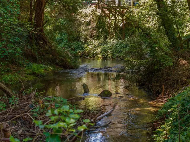 17925 Highway 9, Boulder Creek, California 95006