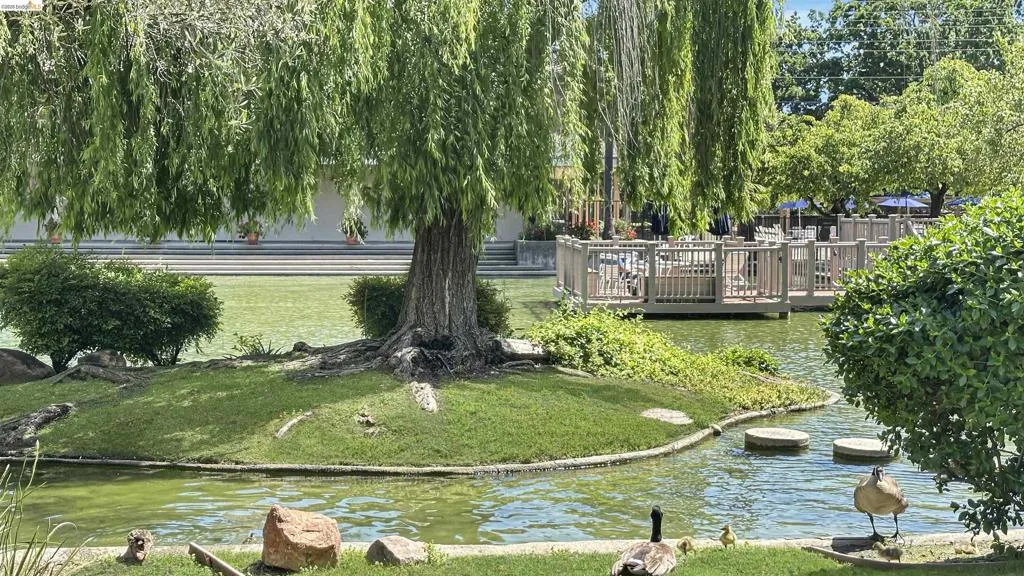 Manicured grounds featuring a pond with stepping stones, mature trees, and a wooden deck