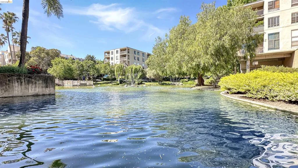 Expansive water feature with mature landscaping and surrounding architectural structures