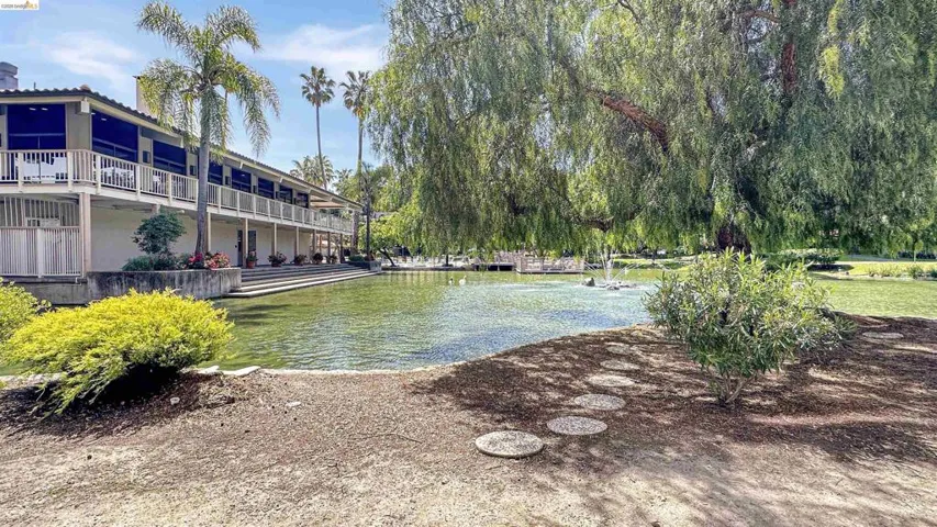 Expansive property featuring a tranquil pond with a fountain, surrounded by lush landscaping and mature trees