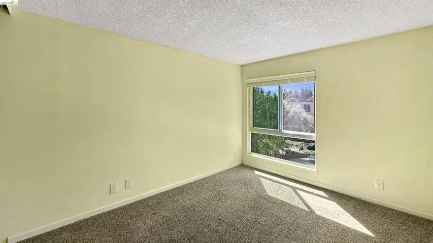 Room featuring neutral-toned walls, textured ceiling, and carpet flooring