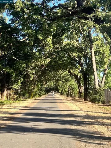 Ironhorse Trail in Alamo