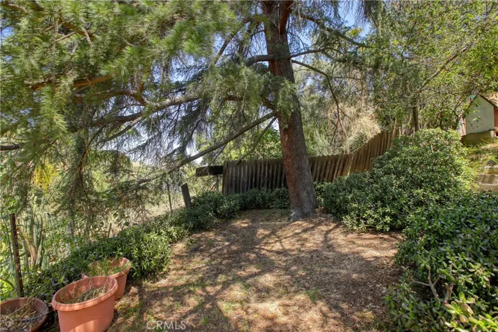 Garden area below the main house.
