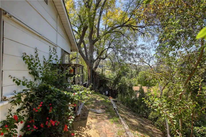 West side Front of house- near catio