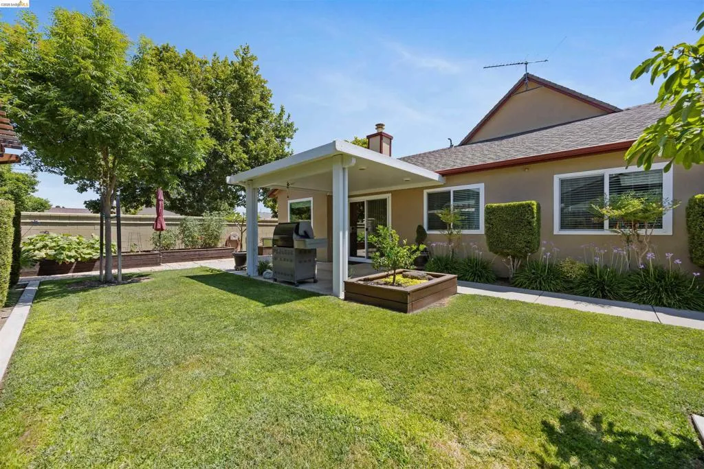 Expansive backyard featuring a manicured lawn, established trees, and a covered patio area with a built-in barbecue