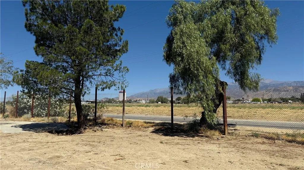 Mature trees