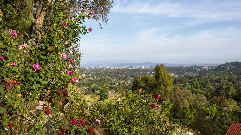 Rose Garden