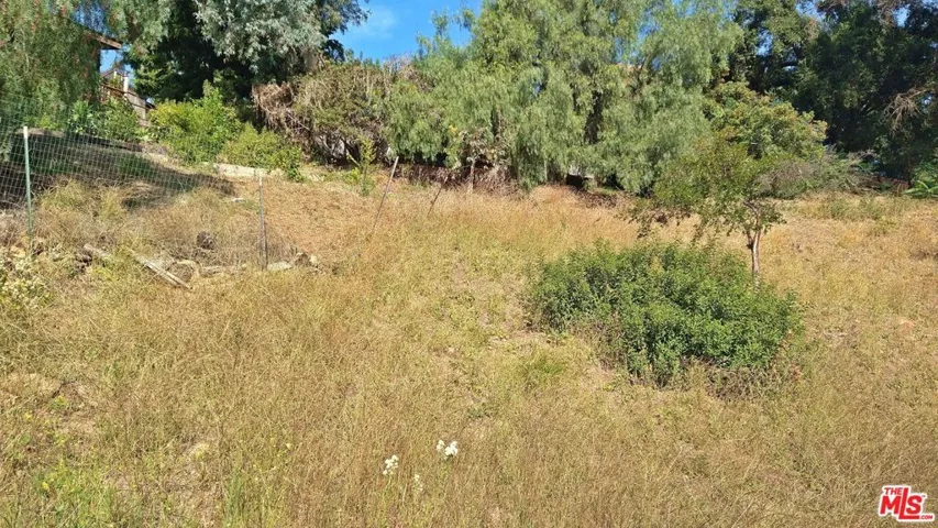 Rear of Lot