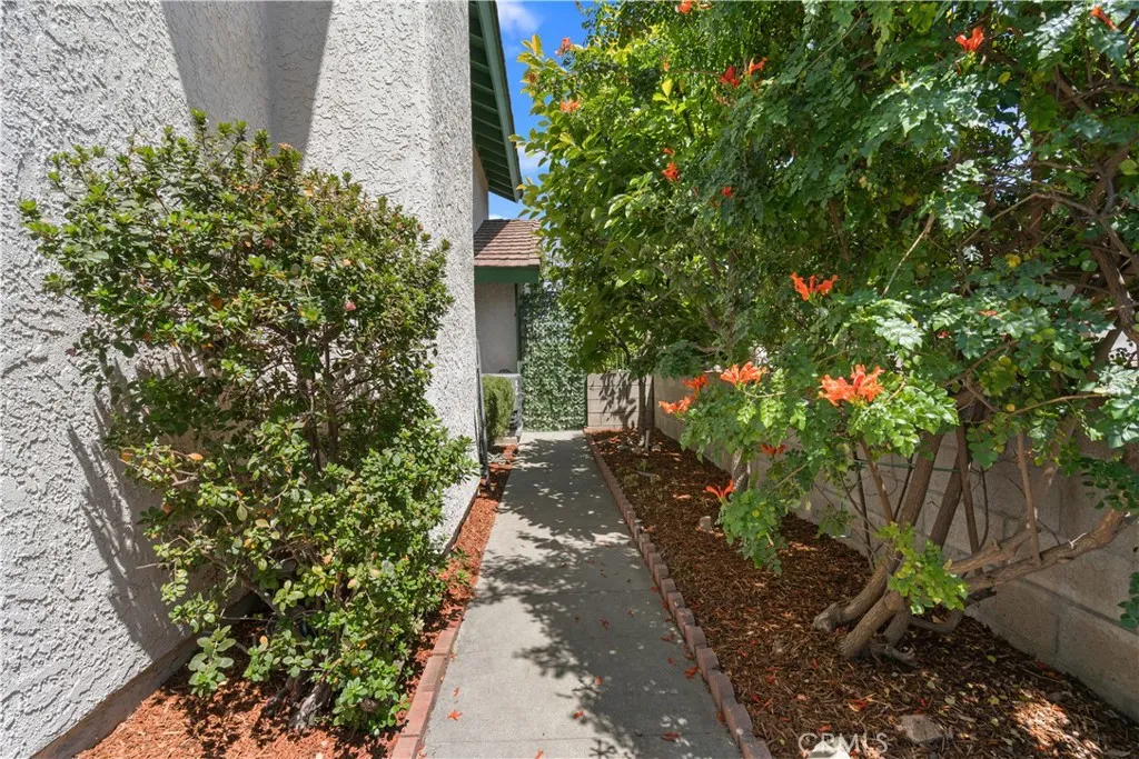 South Side Walkway And Fruit Trees
