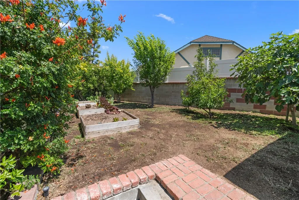 South Side Yard