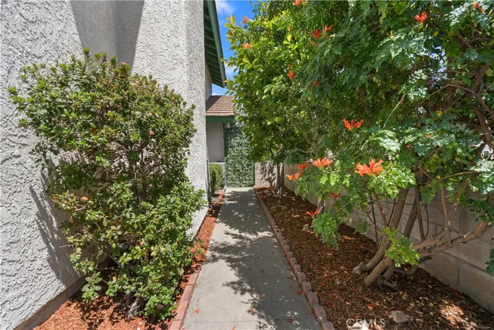 South Side Walkway And Fruit Trees