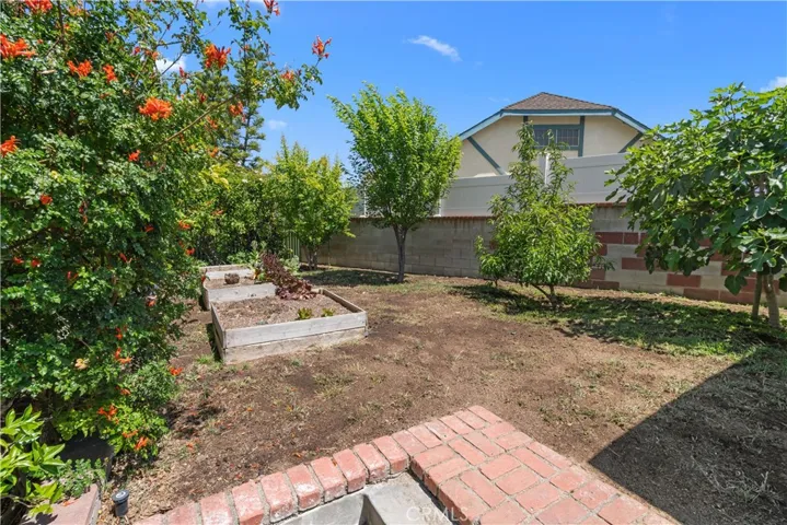 South Side Yard