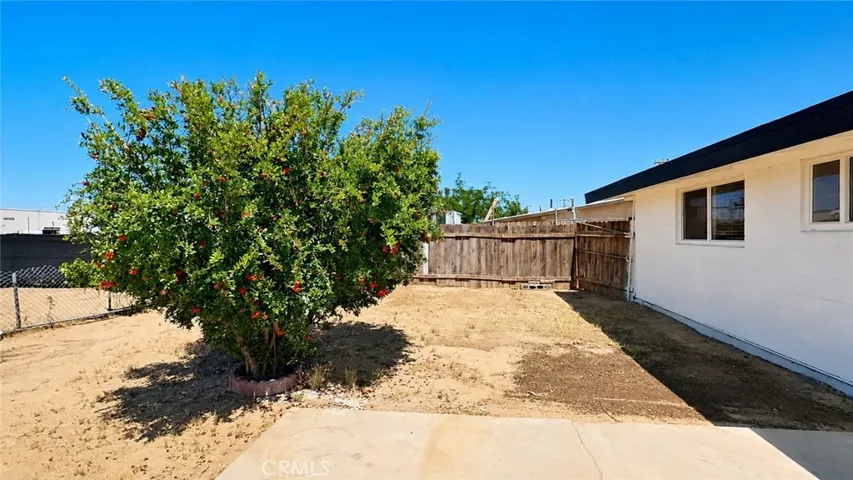 Back yard