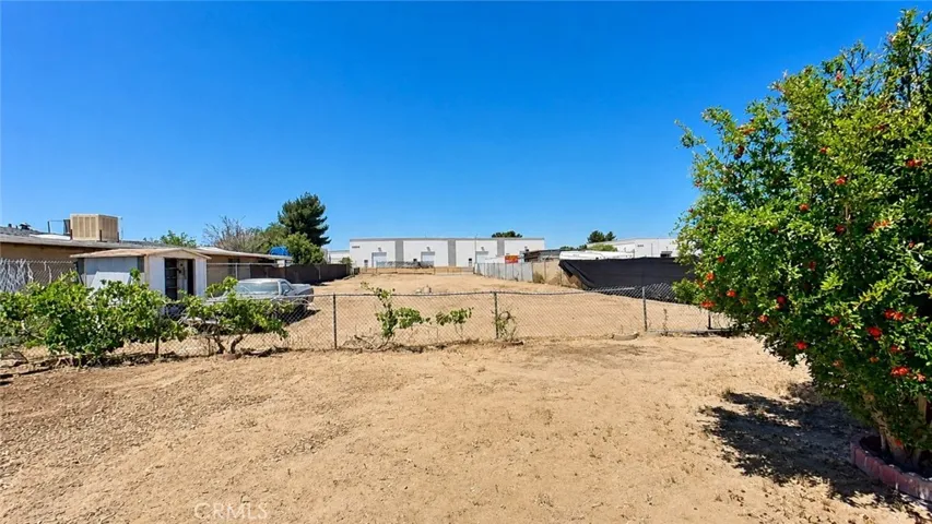 Back yard