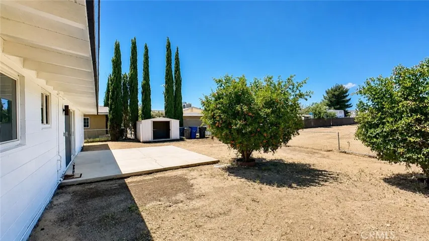 Back yard side view, pomegranate trees.