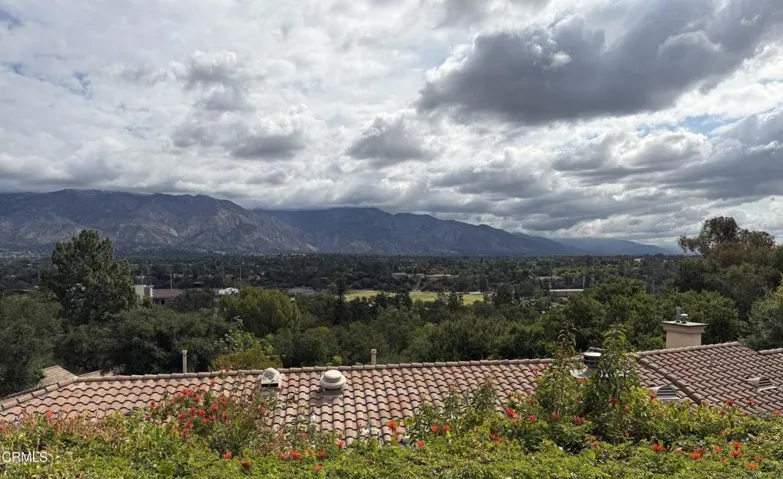 View from Patio