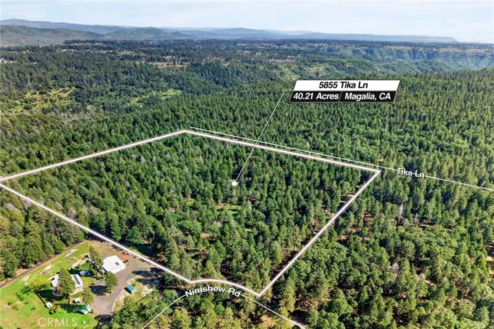 40+ Usable Acres!!