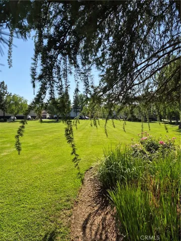 Park Areas in Community.