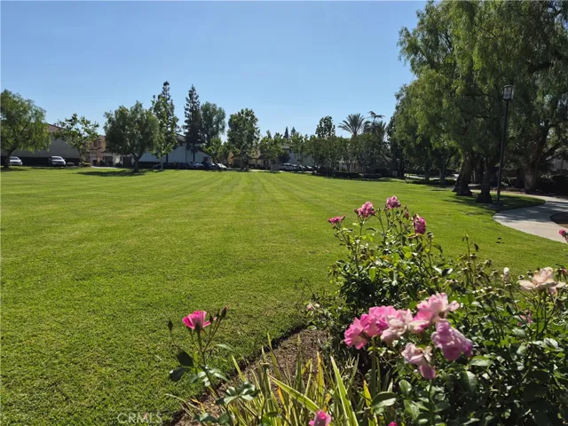 Park Areas in Community.