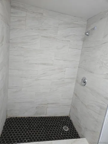 PRIMARY SHOWER