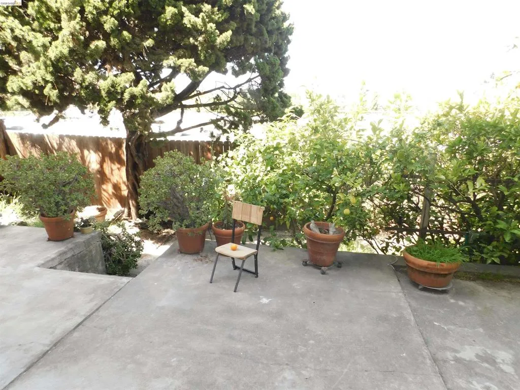 Concrete patio area featuring a mature tree, potted plants, and lush perimeter foliage