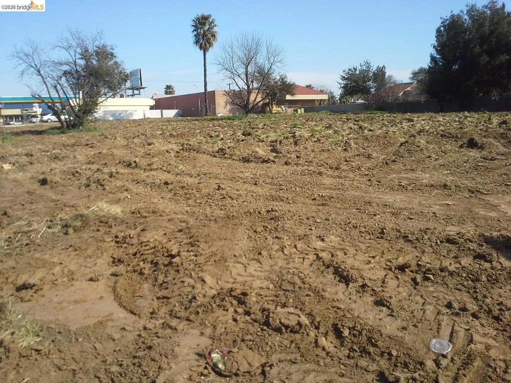 Cleared, level parcel featuring a palm tree and mature deciduous trees on the perimeter