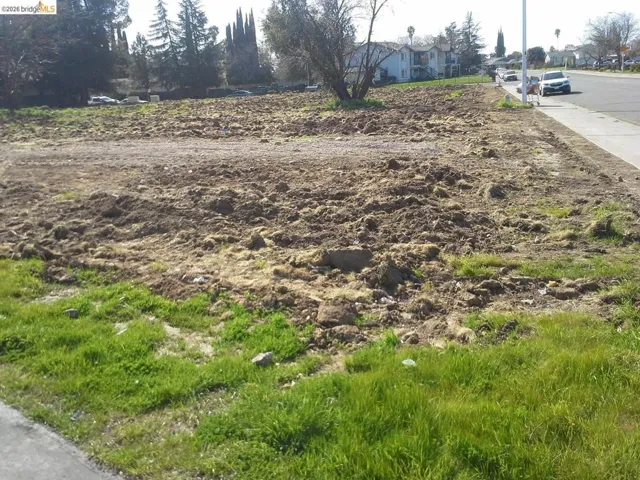 Cleared lot featuring exposed earth and some residual vegetation