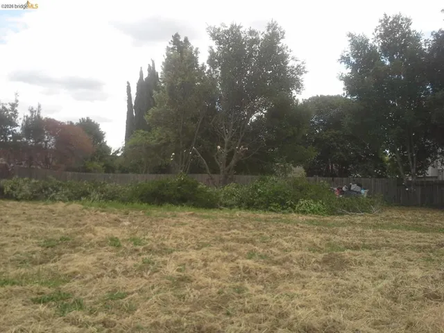 Expansive lot featuring mature trees and a wooden privacy fence