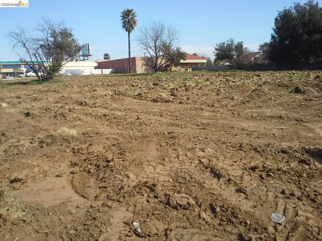 Cleared, level parcel featuring a palm tree and mature deciduous trees on the perimeter