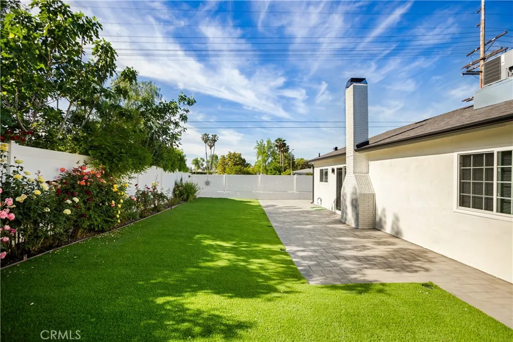 Back yard