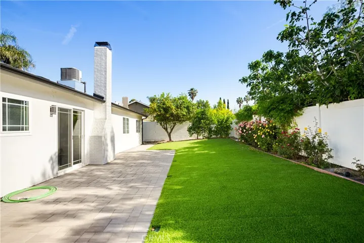 Back yard