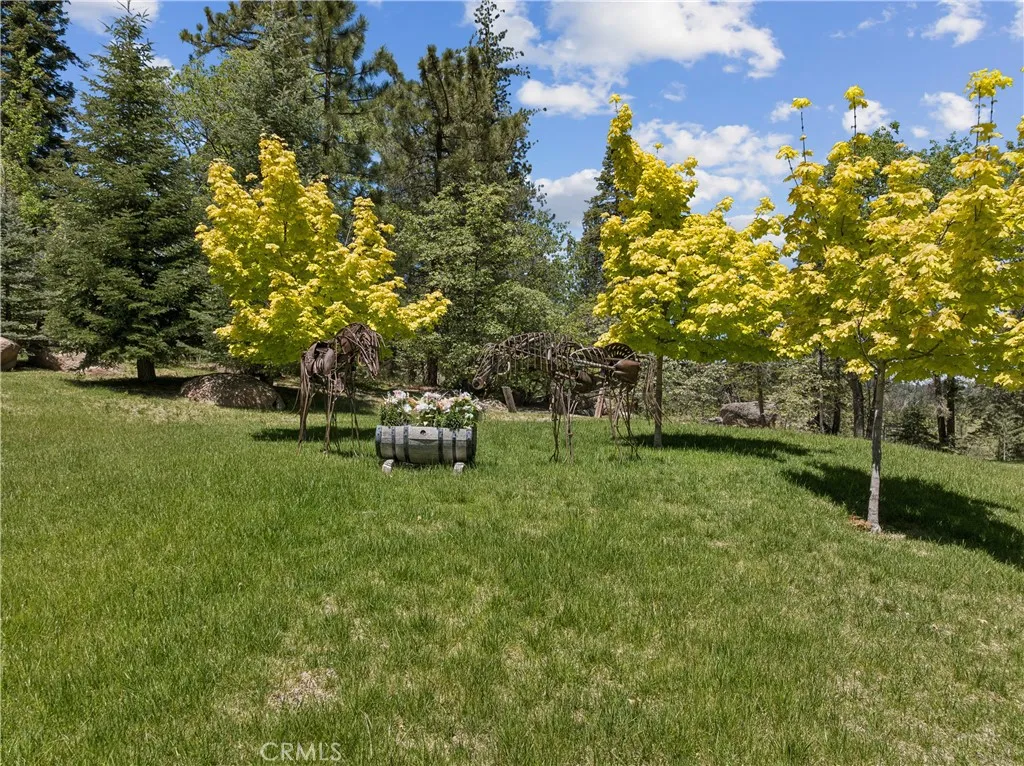 3 acres of lawn