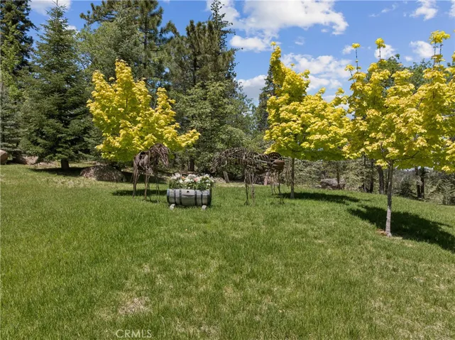 3 acres of lawn