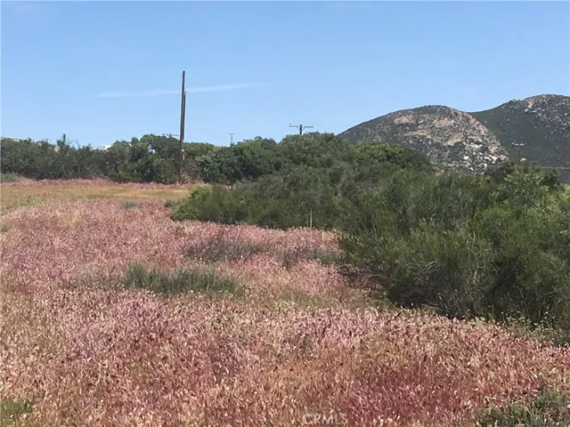 7 Willow Creek Road, Hemet, California 92544