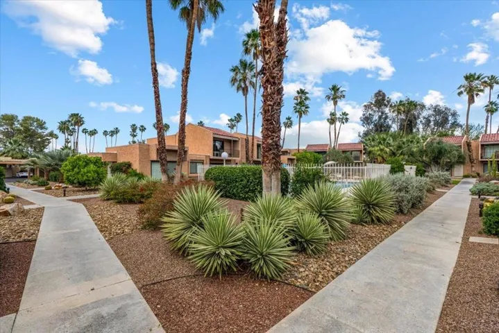 Desert landscaping