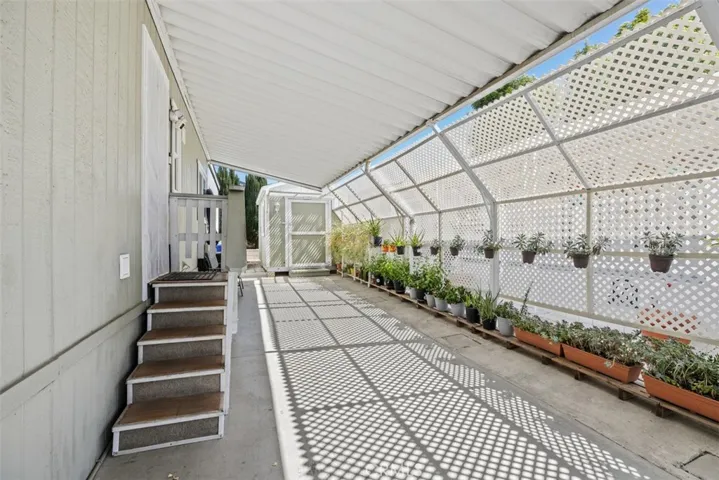 Driveway 1