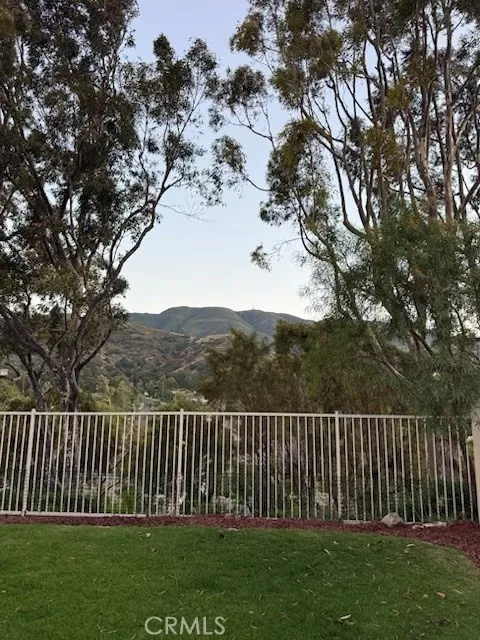 Mountain Views