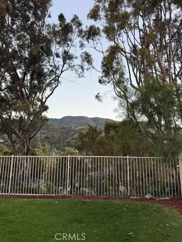 Mountain Views
