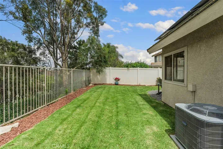 Grassy Backyard Area