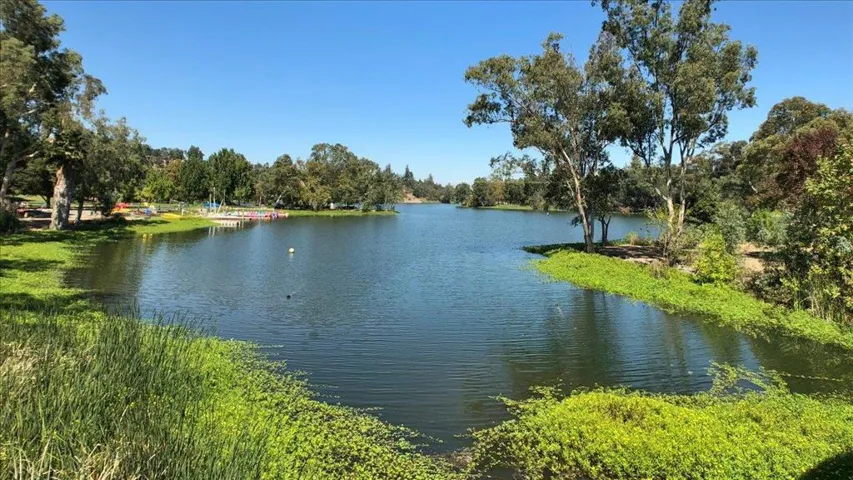 15040 Briggs Court, Los Gatos, California 95032