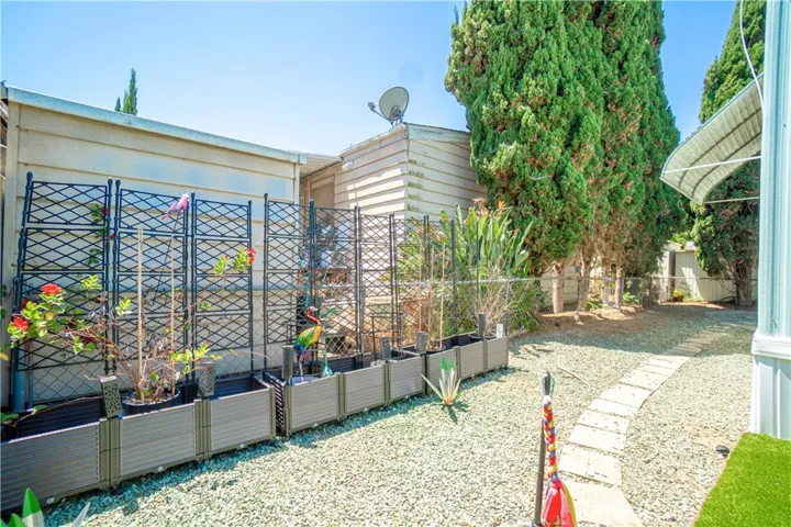 Backyard view