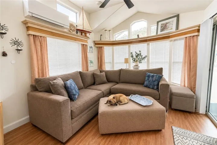 Sunny Living Room