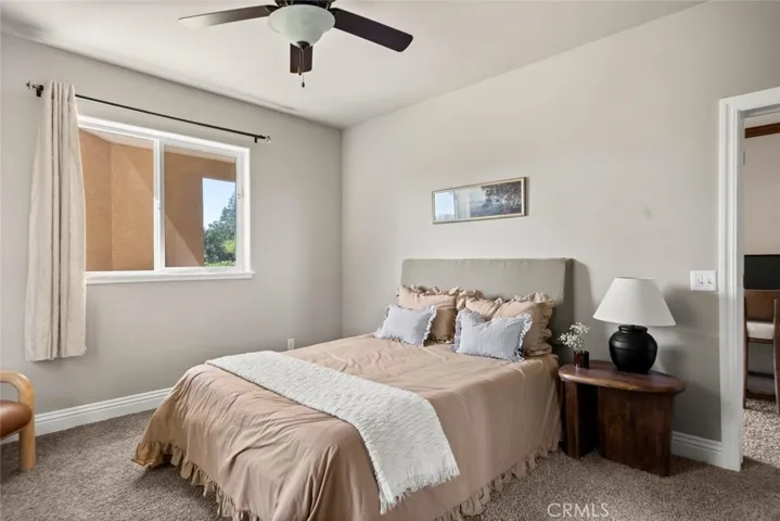 Lower level bedroom
