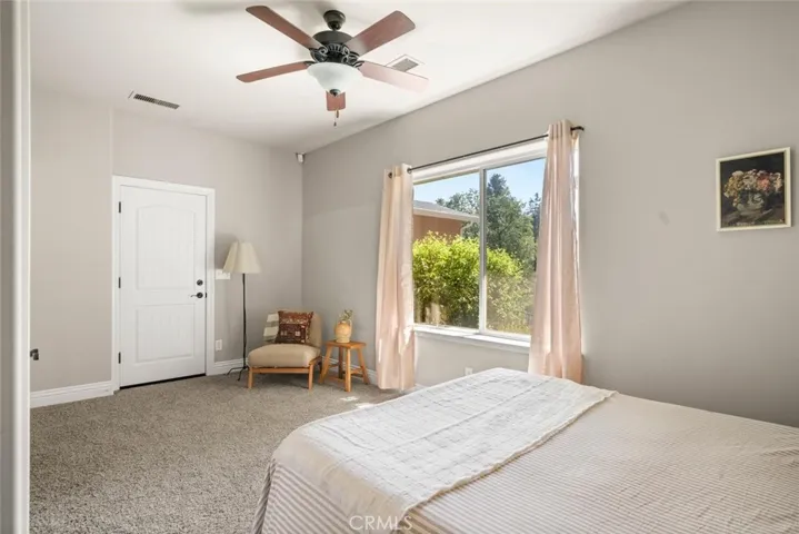 Lower level bedroom - suite
