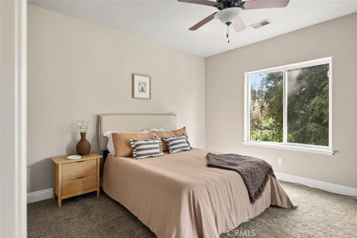 Lower level bedroom